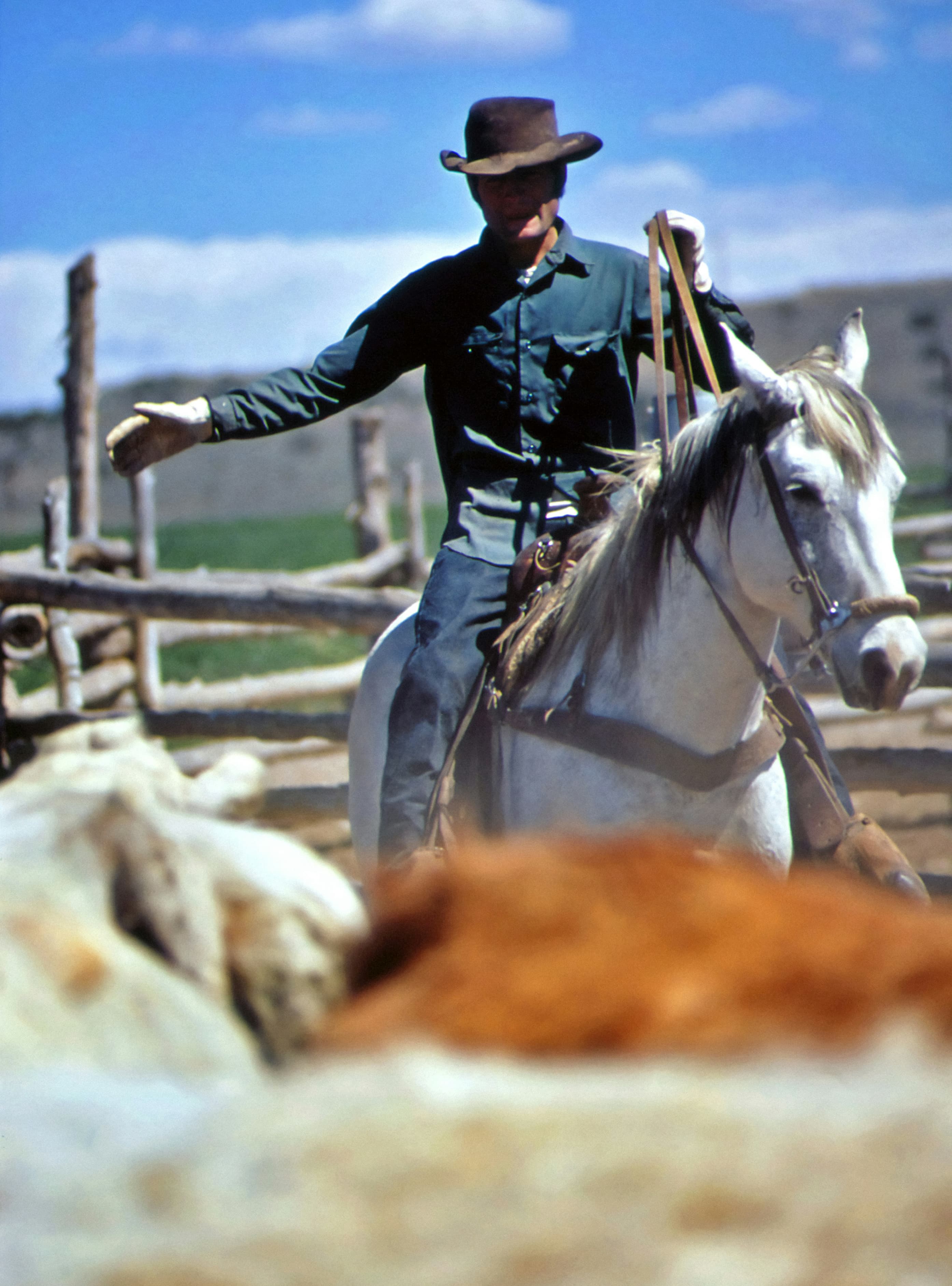 Cowboy on horseback